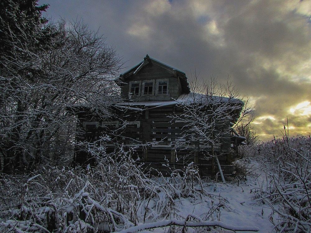 Photograph by Николай Морозов