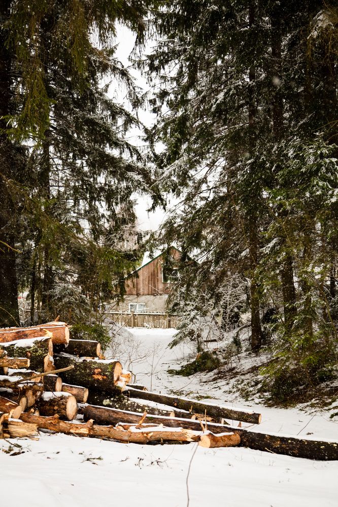 Photograph by Nika Prokopenko