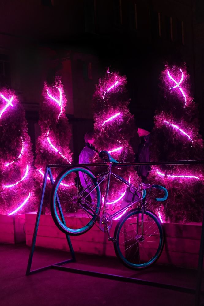 Photograph by Дарья Пысина