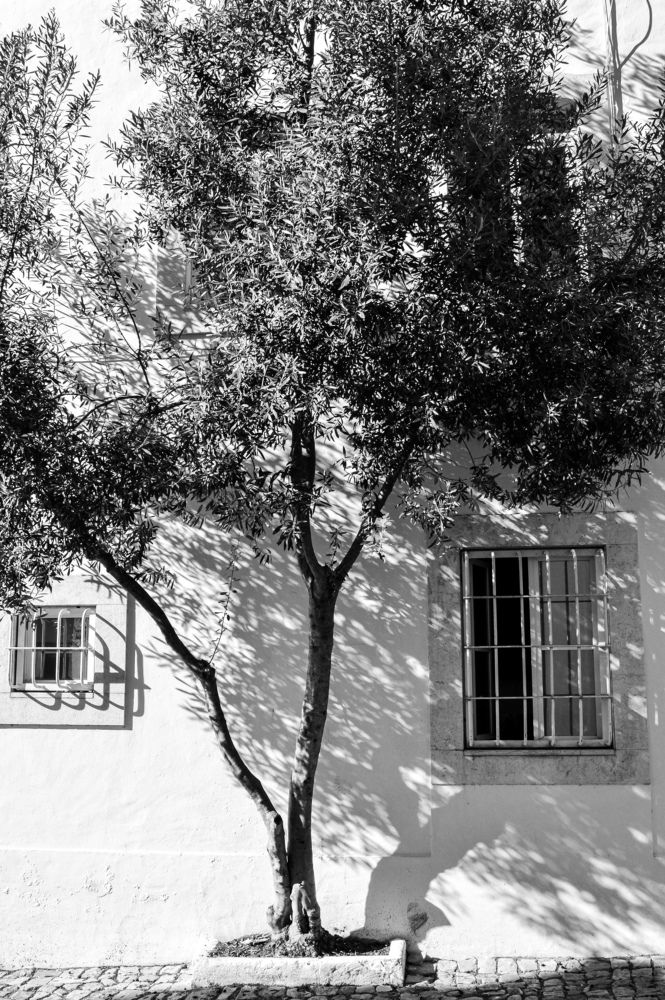 Photograph by María Gromiko