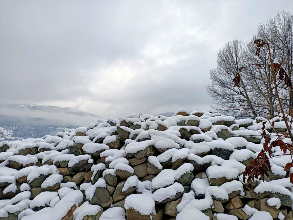 Фотография автора Elvira Minigulova