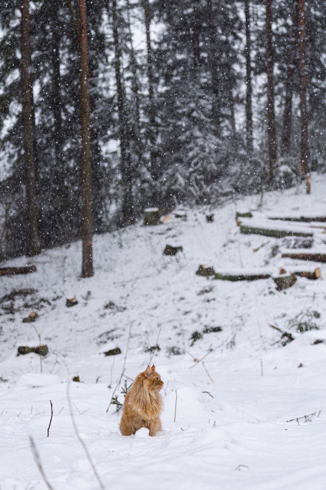 Photograph by Nika Prokopenko