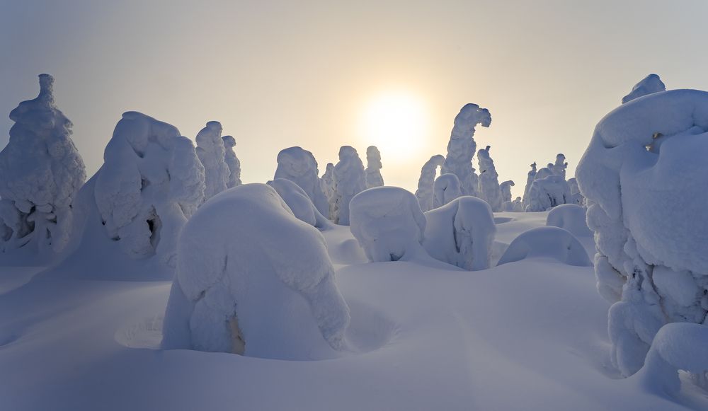 Photograph by Межин Сергей