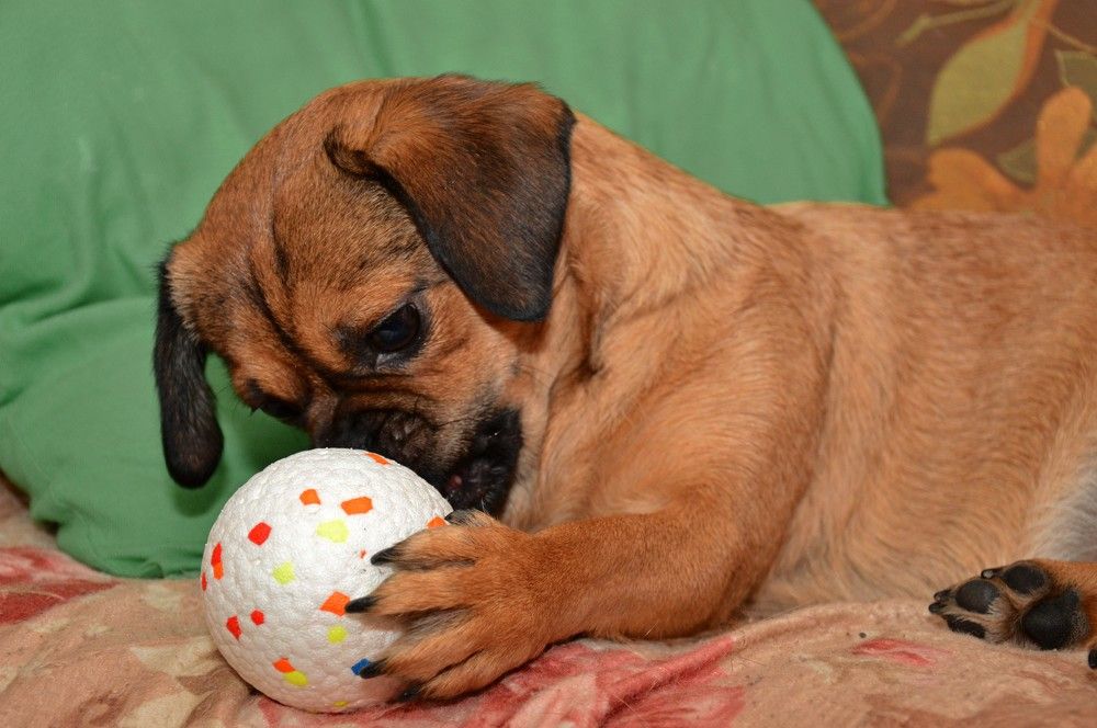 Photograph by Ольга Шевцова