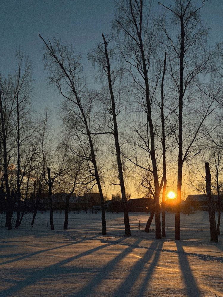 Photograph by Валерия