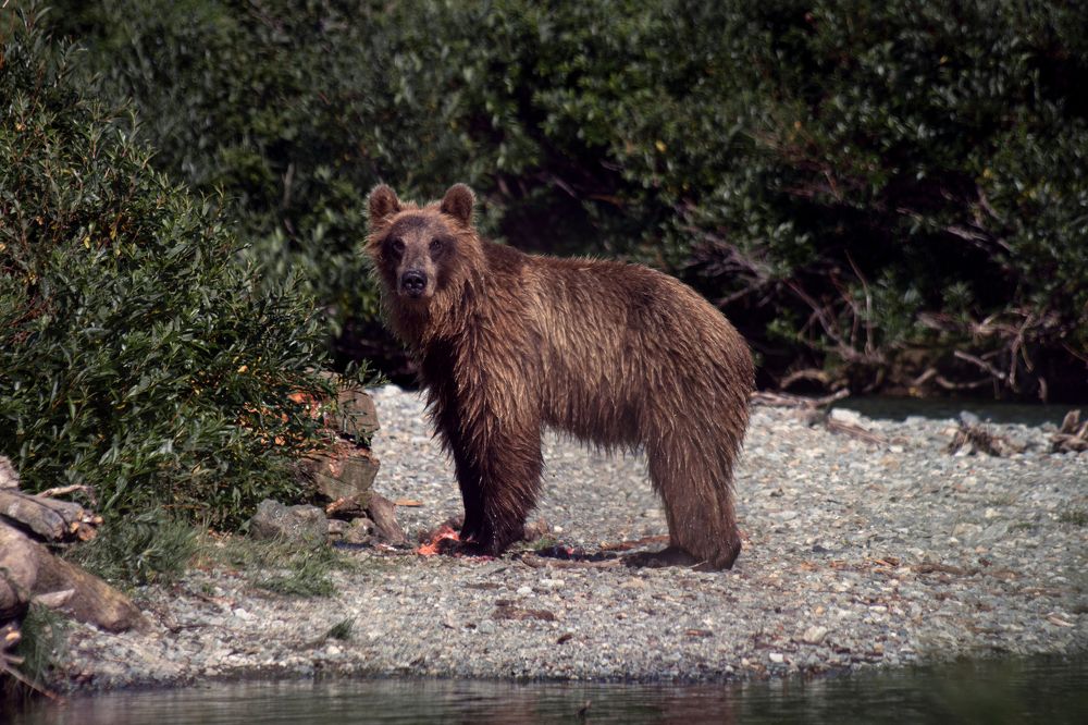 Photograph by Svetlana