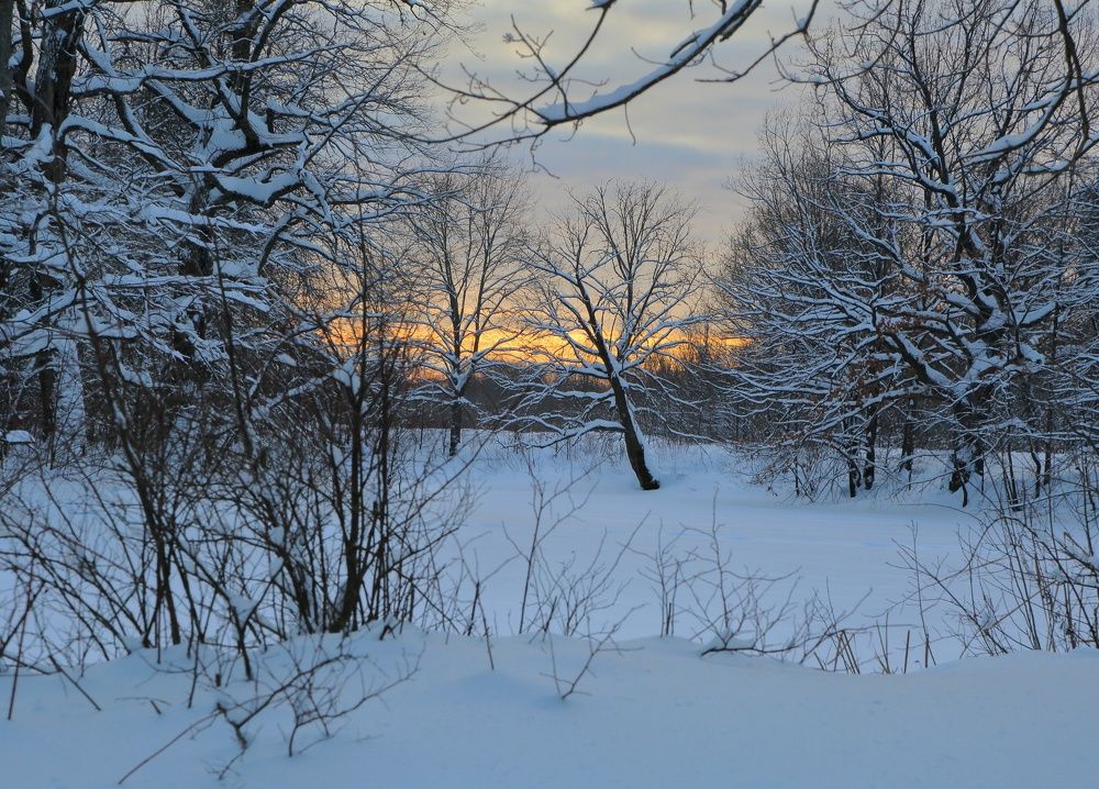 Photograph by Мария Андреева