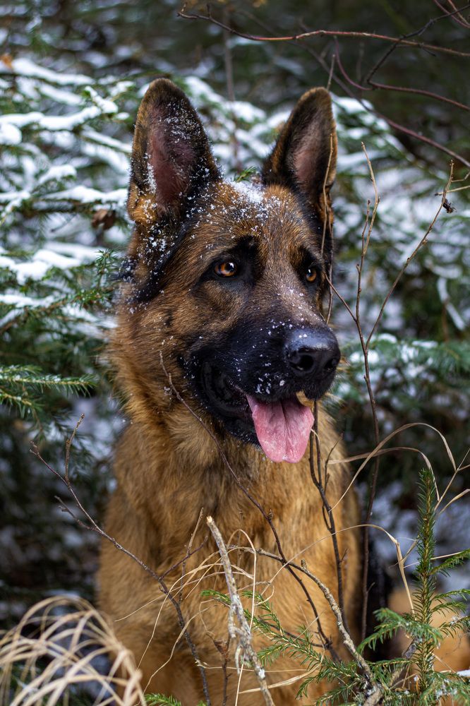 Photograph by Ольга Адольф