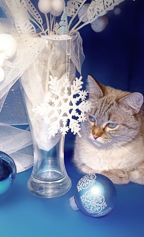 Photograph by Олеся Лосыгина