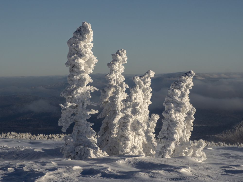 Photograph by Галина Михоношина