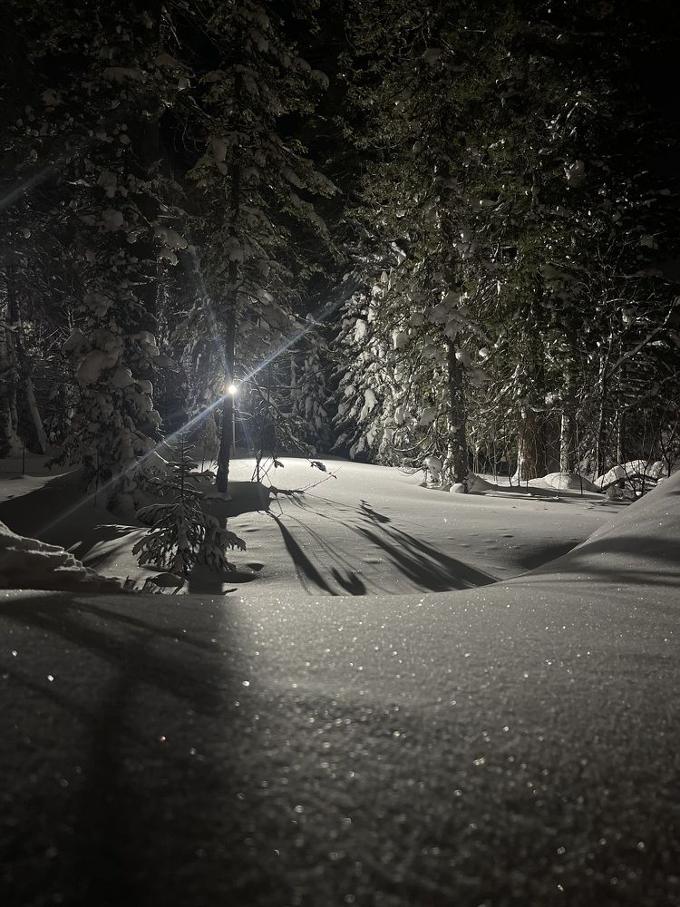 Photograph by Юлия Кондрашина