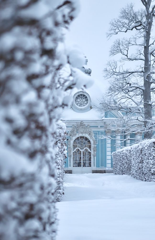 Photograph by Наталья Гусева