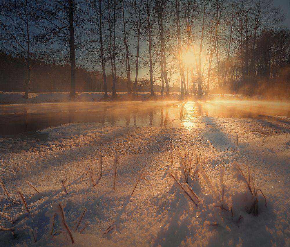 Photograph by Алеся Максименко