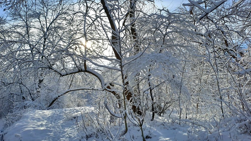 Photograph by Светлана Карпенко