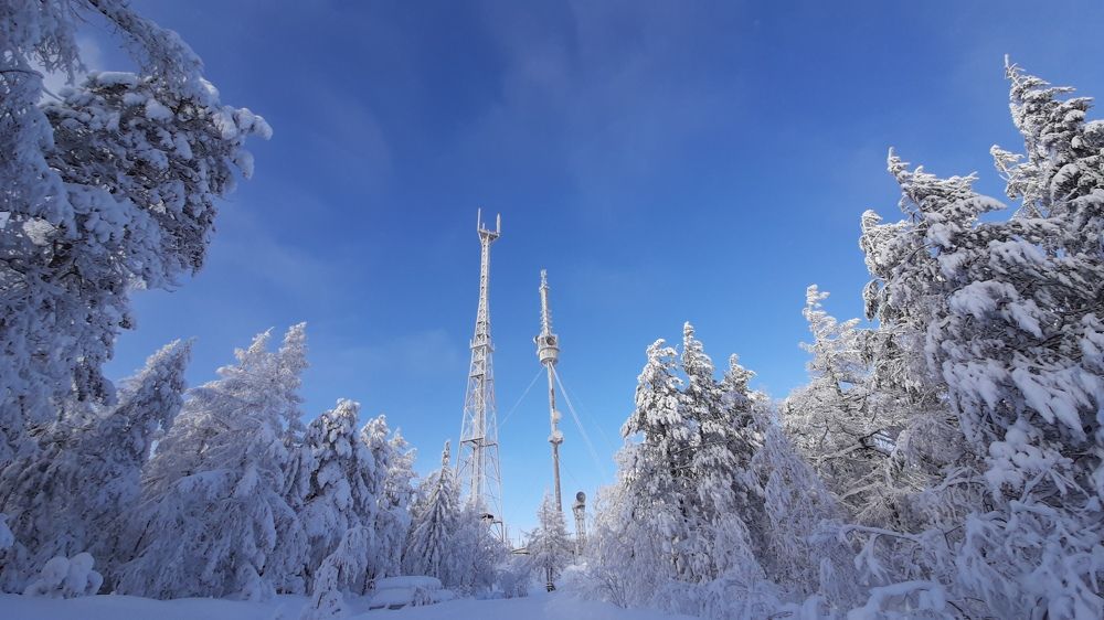 Белое безмолвие