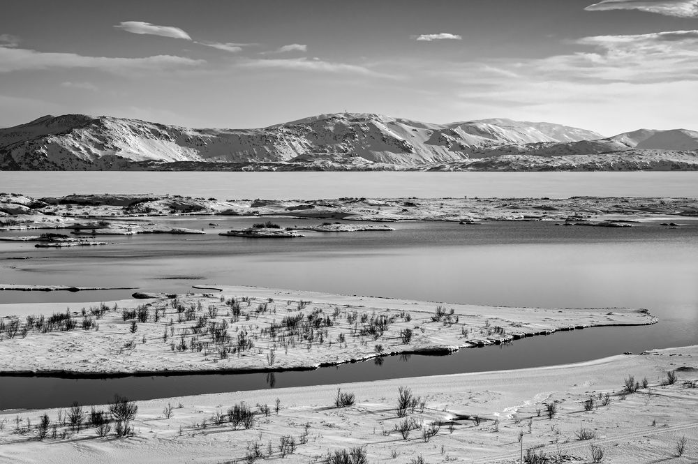 Photograph by Massimo Tamajo