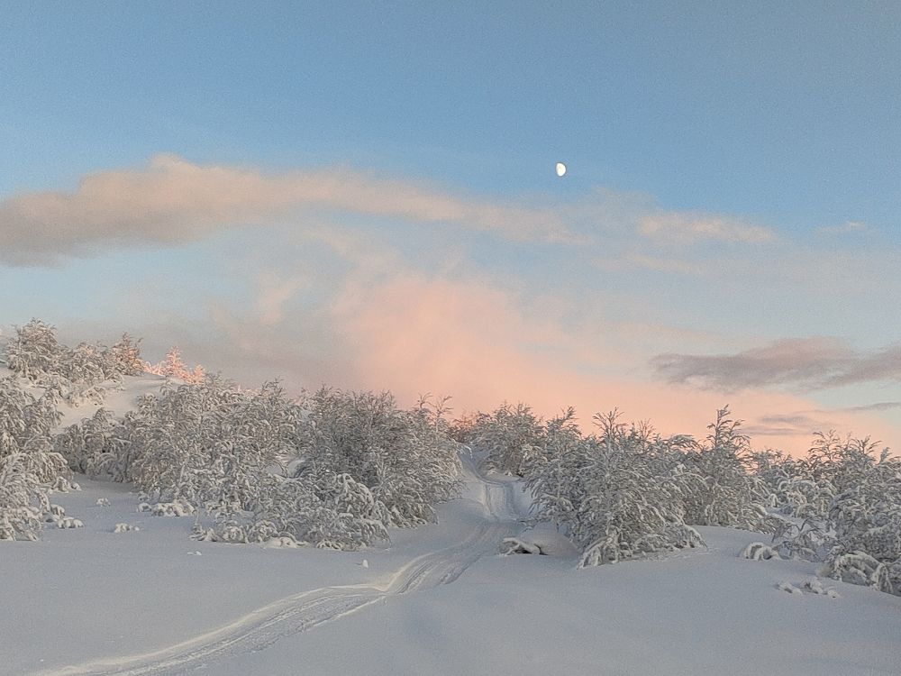 Photograph by Марина Зборацкая