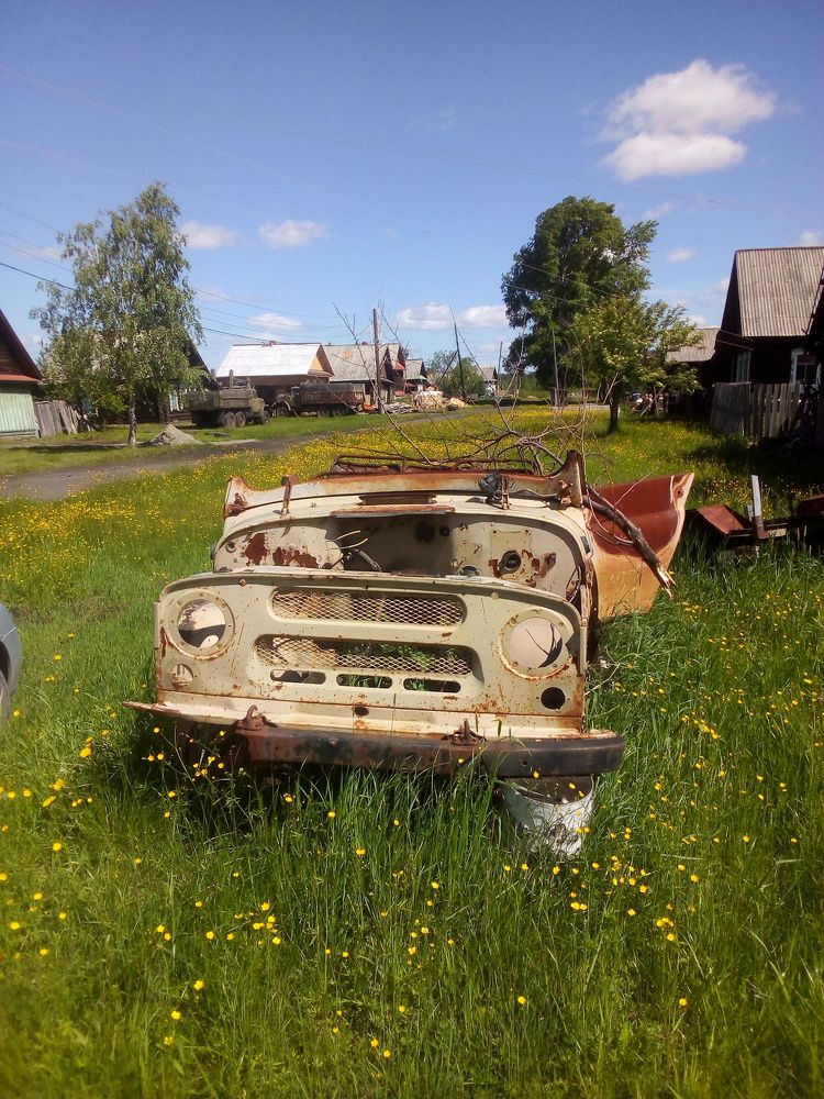 Photo #10172081