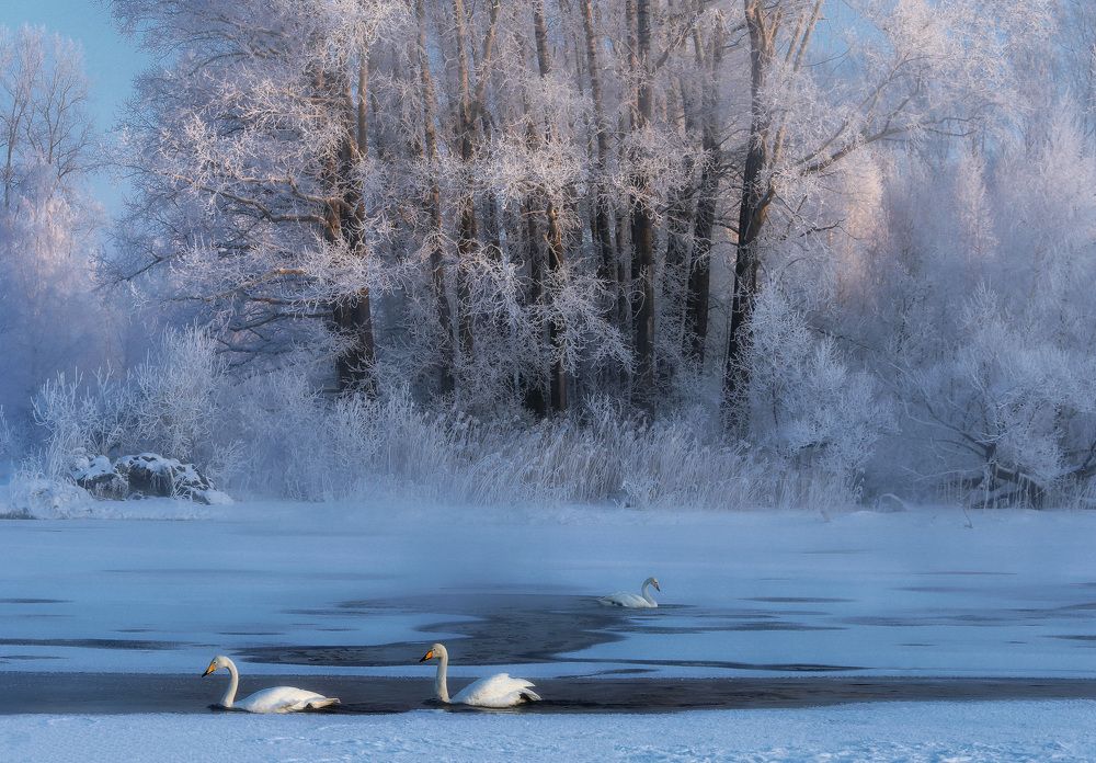 Photograph by Галина Хвостенко