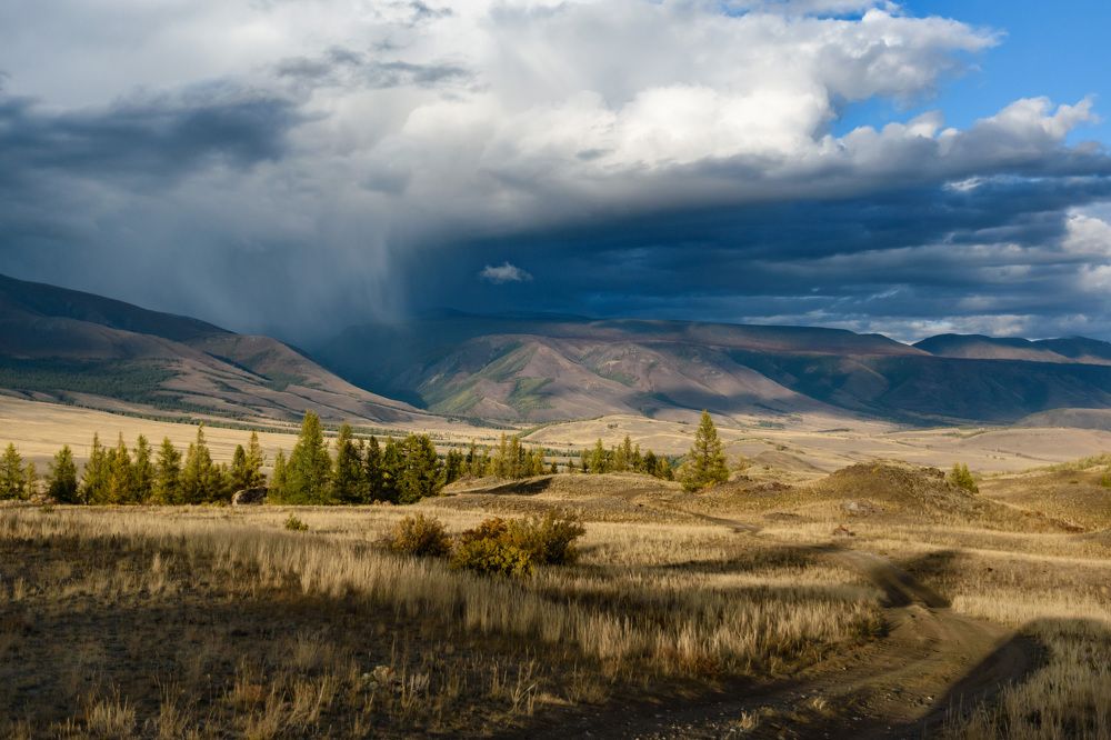 Фотография автора Мария Рохмистрова