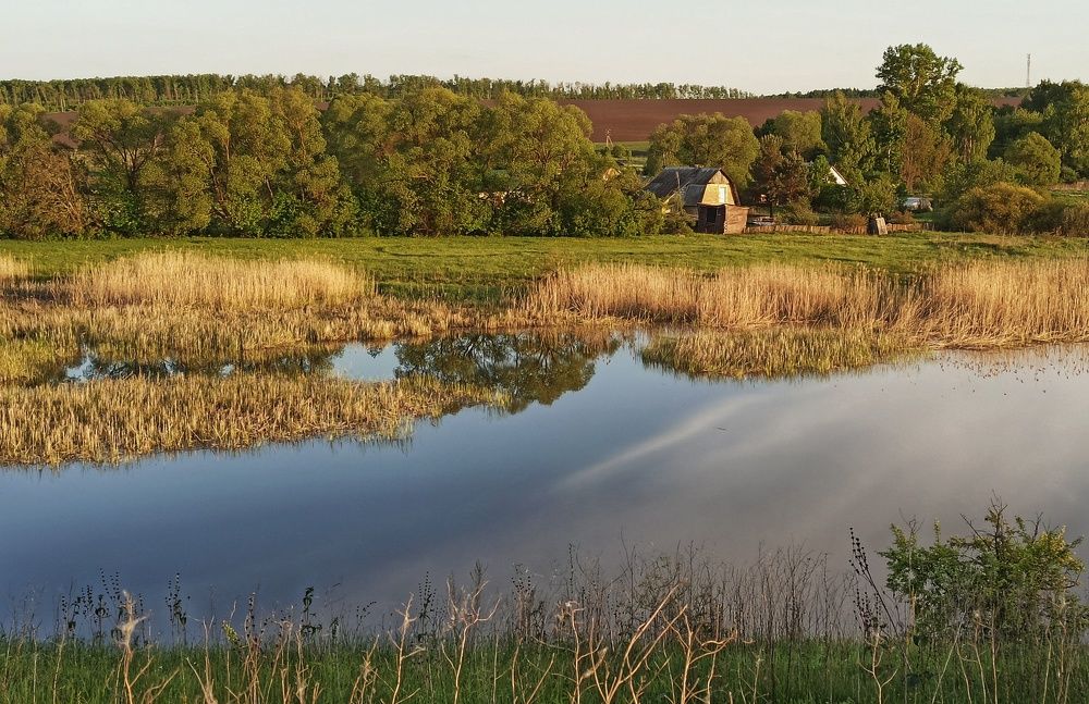 Photograph by Новикова Елена Сергеевна