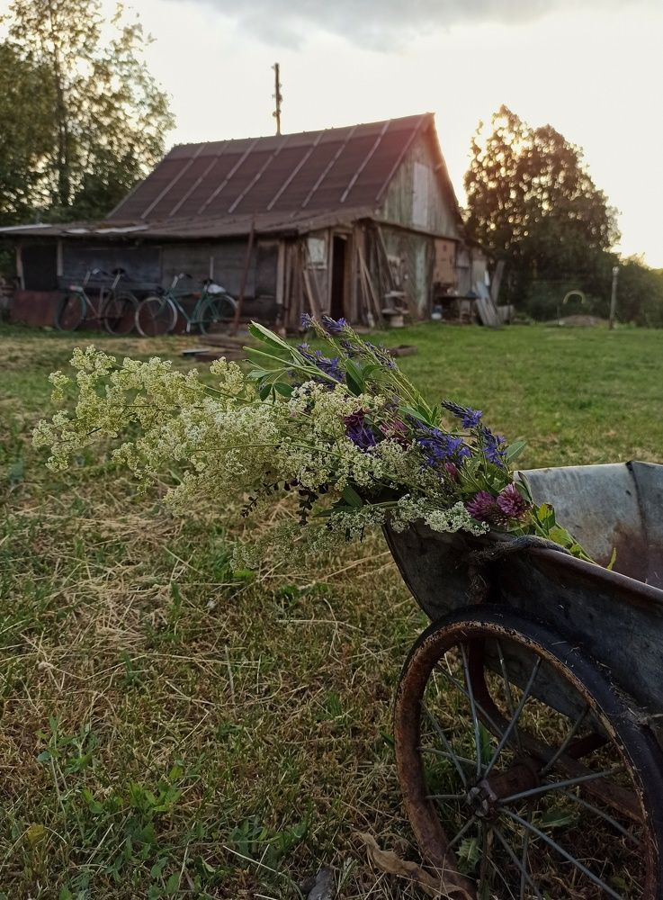 Photograph by Новикова Елена Сергеевна