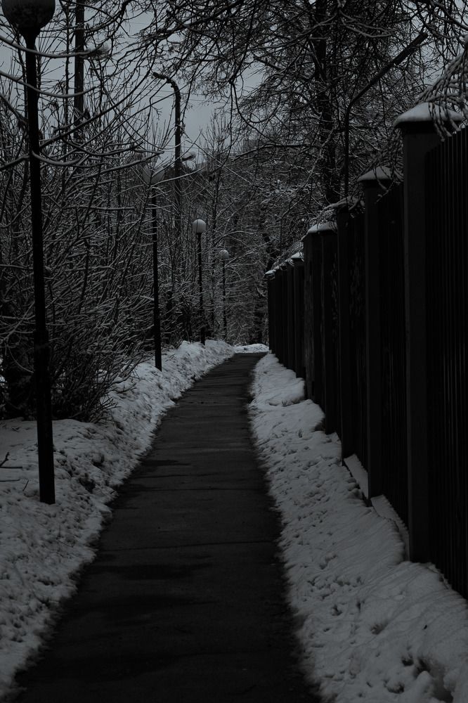 Photograph by Стефан Сметанов