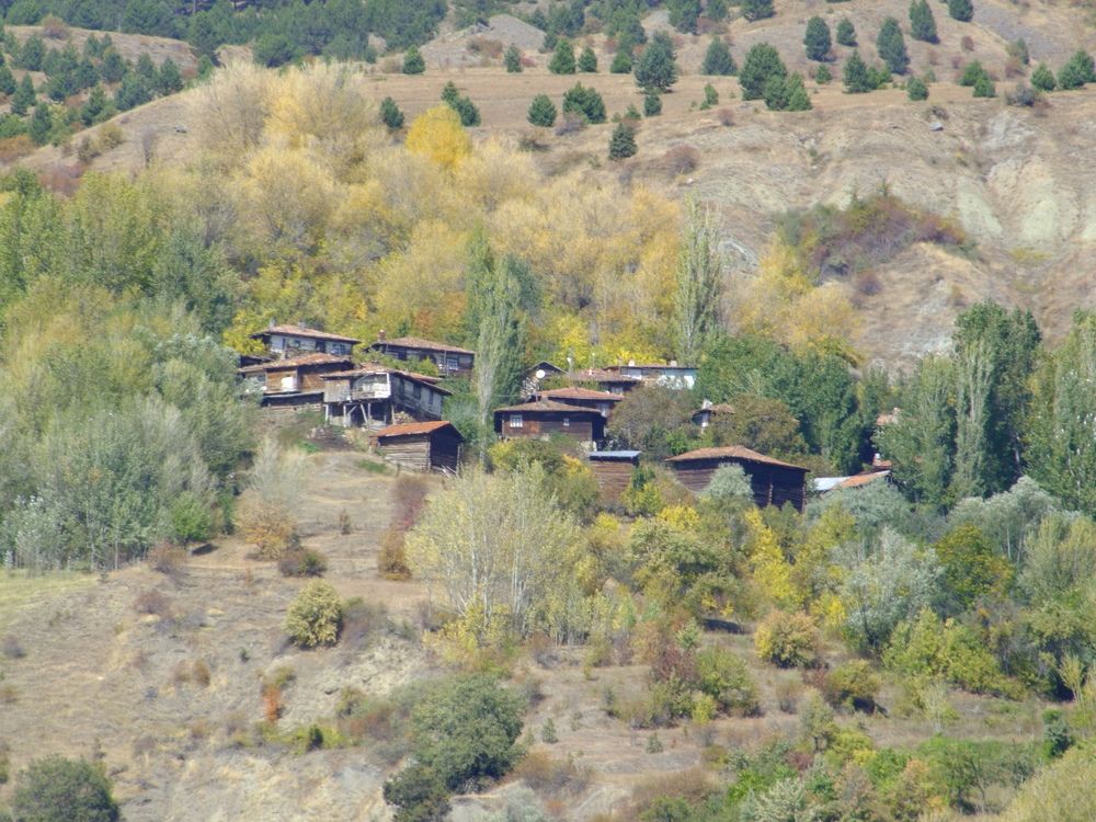 Photograph by Cengiz Yalcin