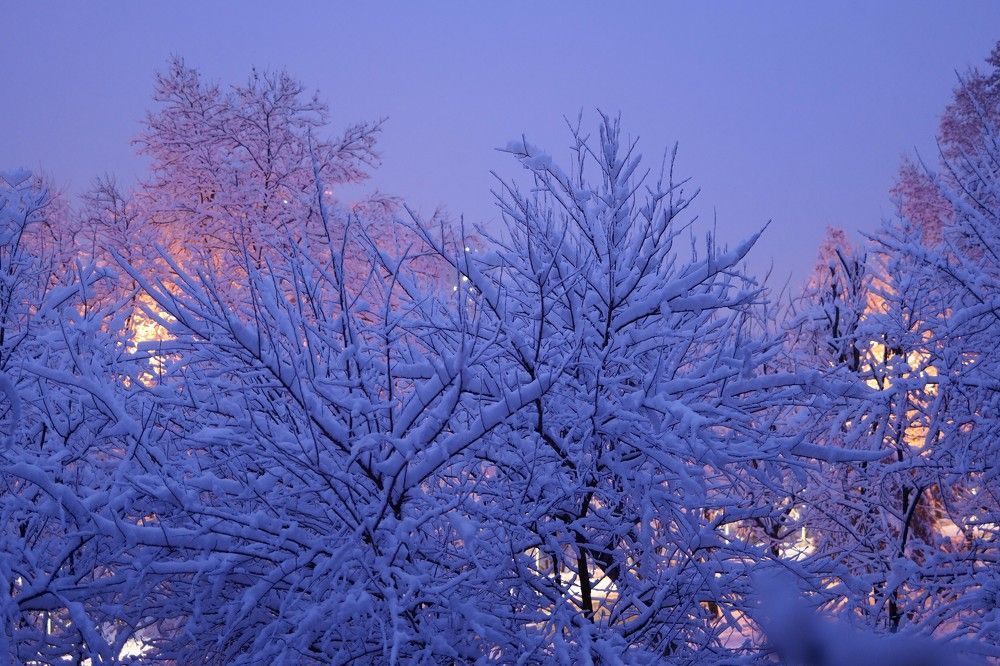 Photograph by Оксана Архипова