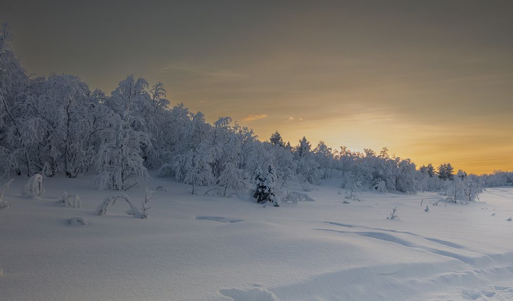 Photograph by Александр Ворошилов