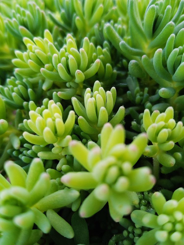 Photograph by Екатерина Щербина