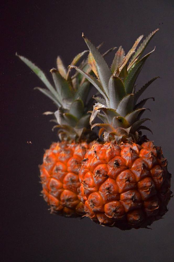 Фруктовая симфония.