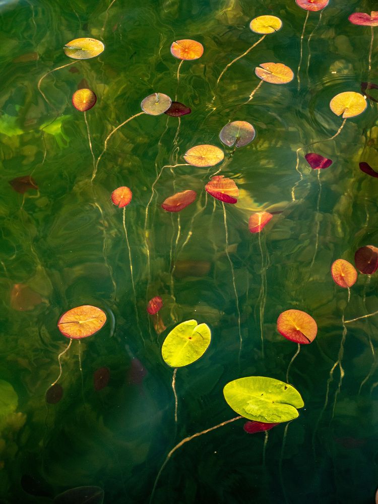 Photograph by Сергей Забиякин