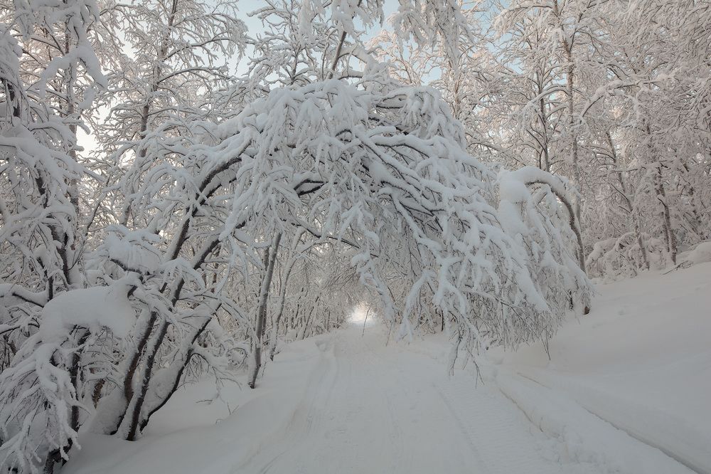 Photograph by Александр Ворошилов
