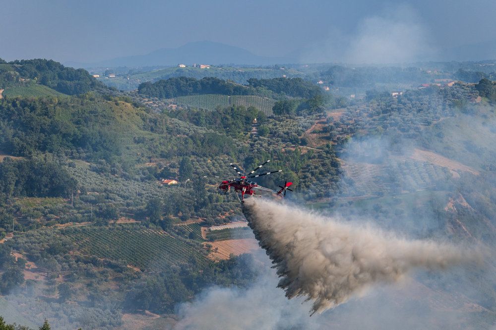 Photograph by Nikolay Gordon