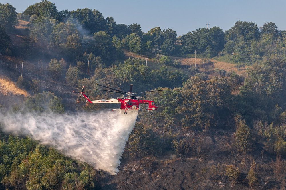 Photograph by Nikolay Gordon