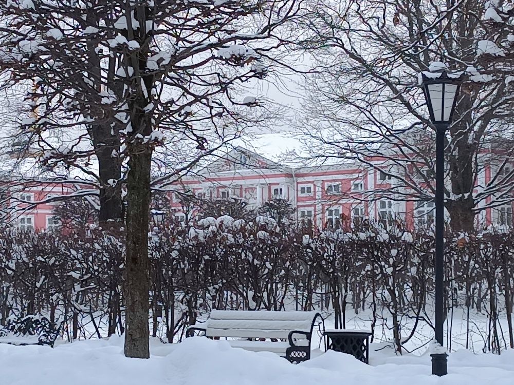 Photograph by Анна Лернер