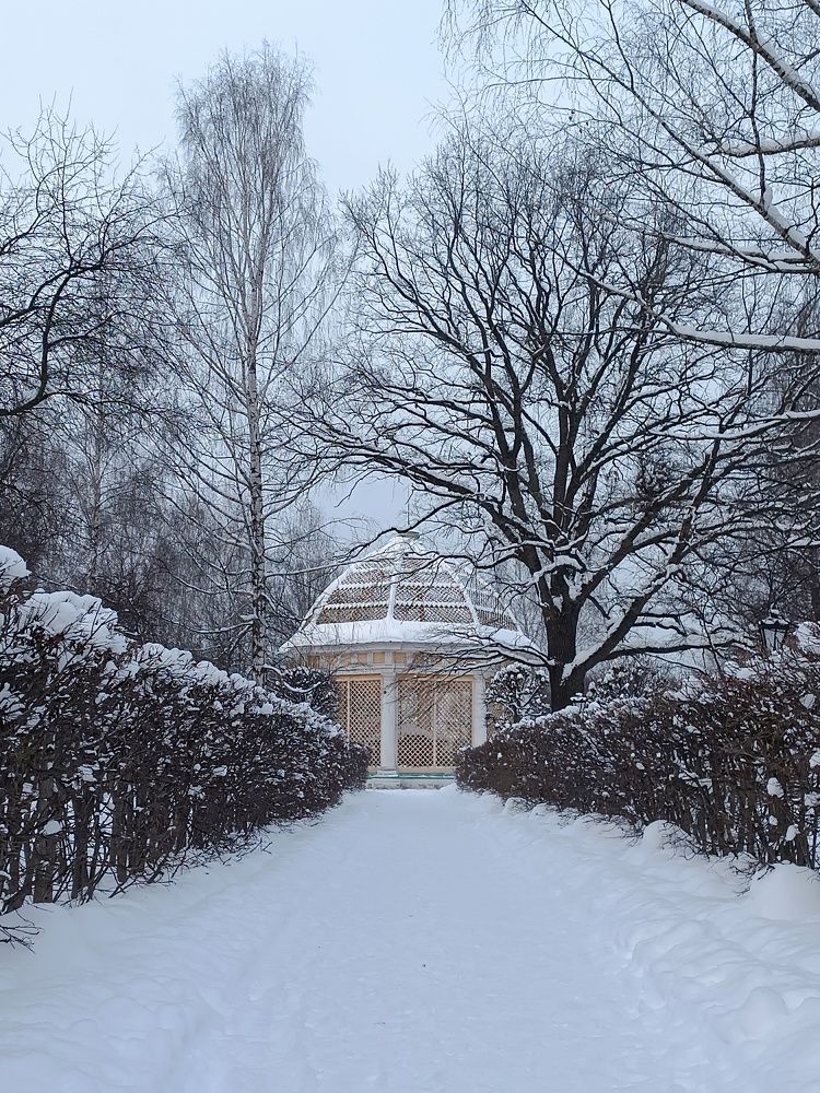 Photograph by Анна Лернер