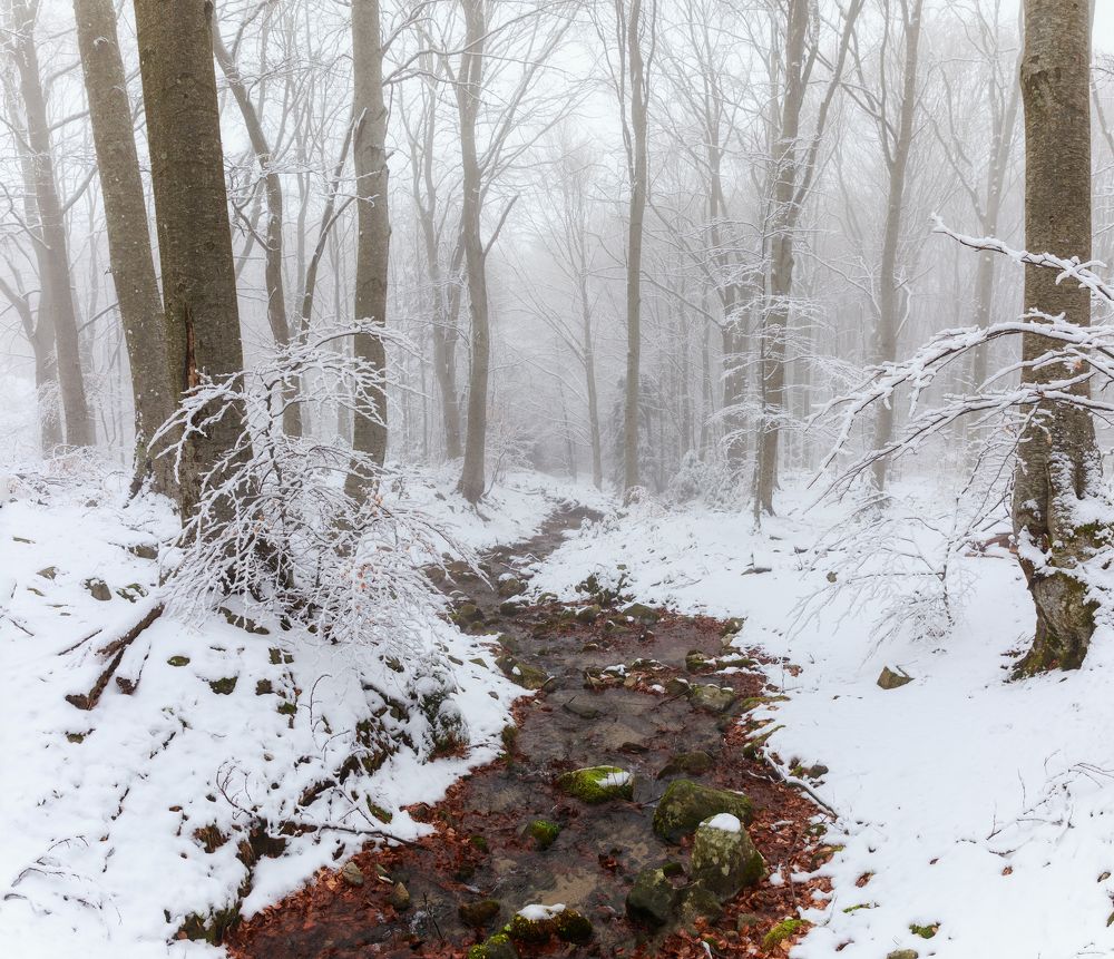 Photograph by Taтьяна Войлокова