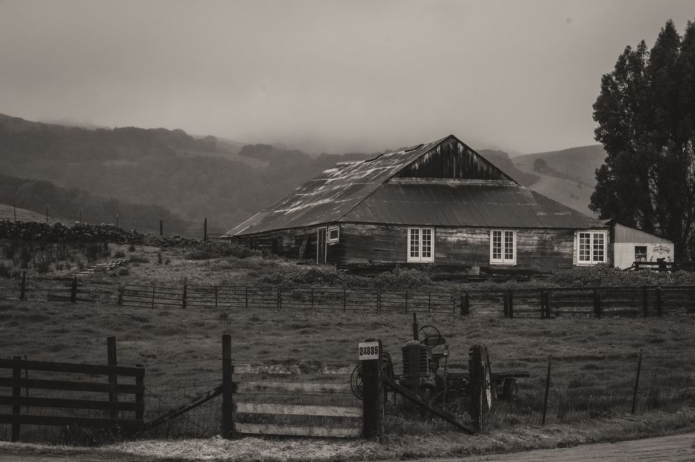 Photograph by Ekaterina Erofeeva