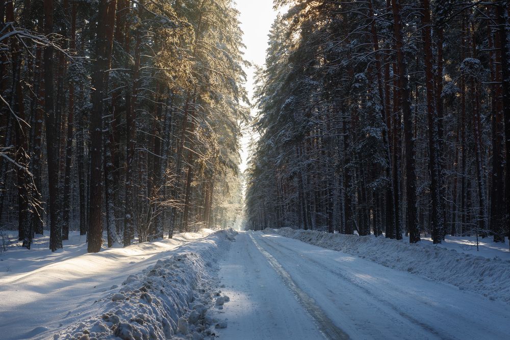 Photograph by Александр Мещеряков