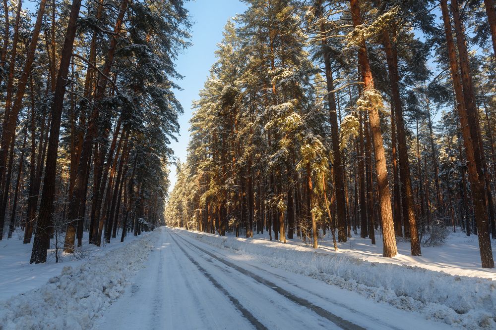 Photograph by Александр Мещеряков