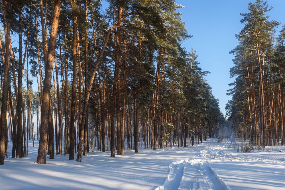 Photograph by Александр Мещеряков