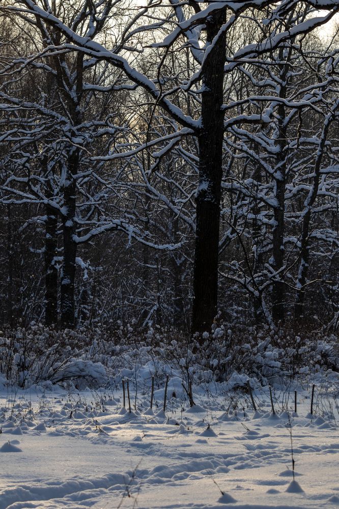 Photograph by Александр Свиблов