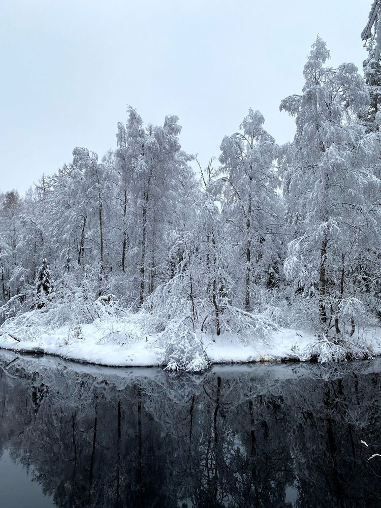 Photograph by Виталия