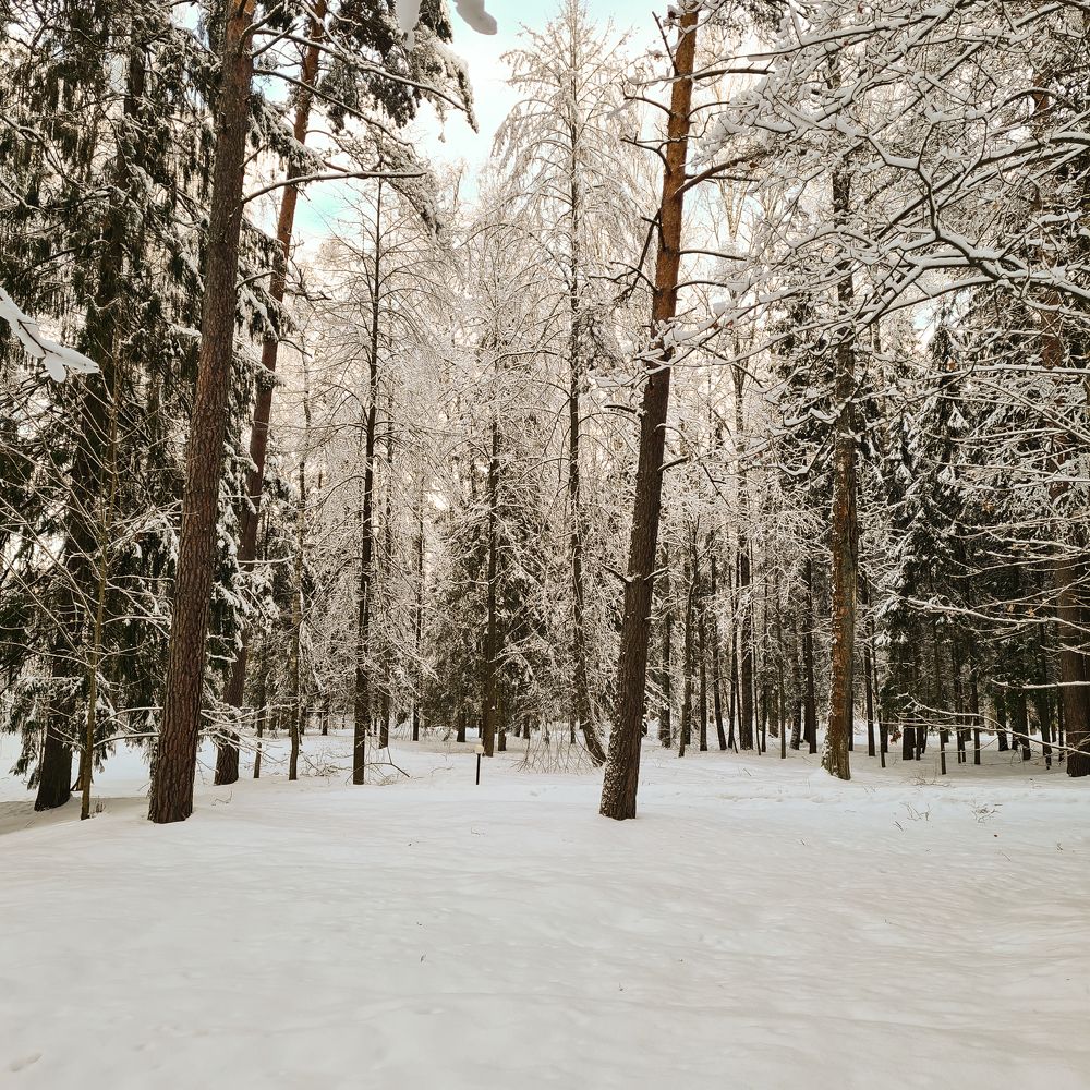 Фотография автора Ирина Дашевская
