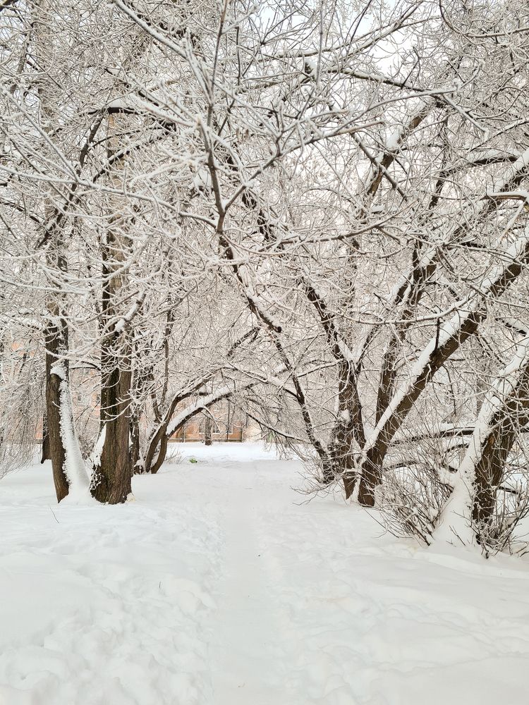 Фотография автора Ирина Дашевская