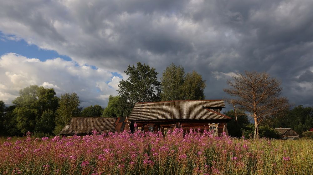 Фотография автора Колосова Елена