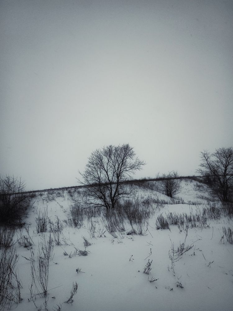 Фотография автора Даниил Овдей