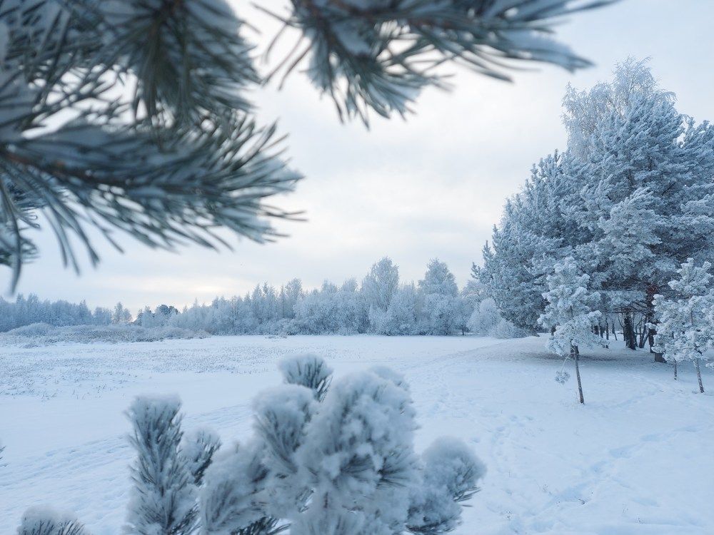 Photograph by Елена Кирикова